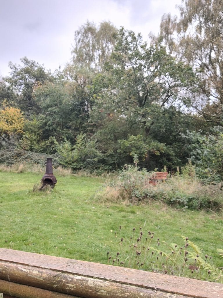 A grassy area with sparse vegetation and trees in the background. A metal chiminea is visible to the left, and a flower pot can be seen in the right side of the image. The sky is overcast.