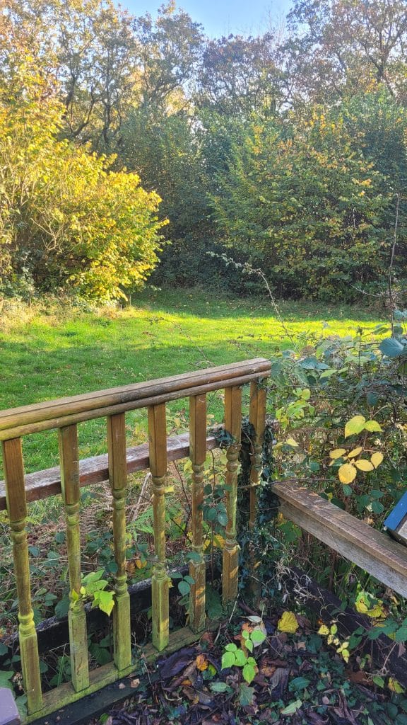 A view from a wooden railing of a small garden area, featuring lush green grass and bushes with autumn leaves. The background shows trees in various shades of green and yellow under a clear sky.